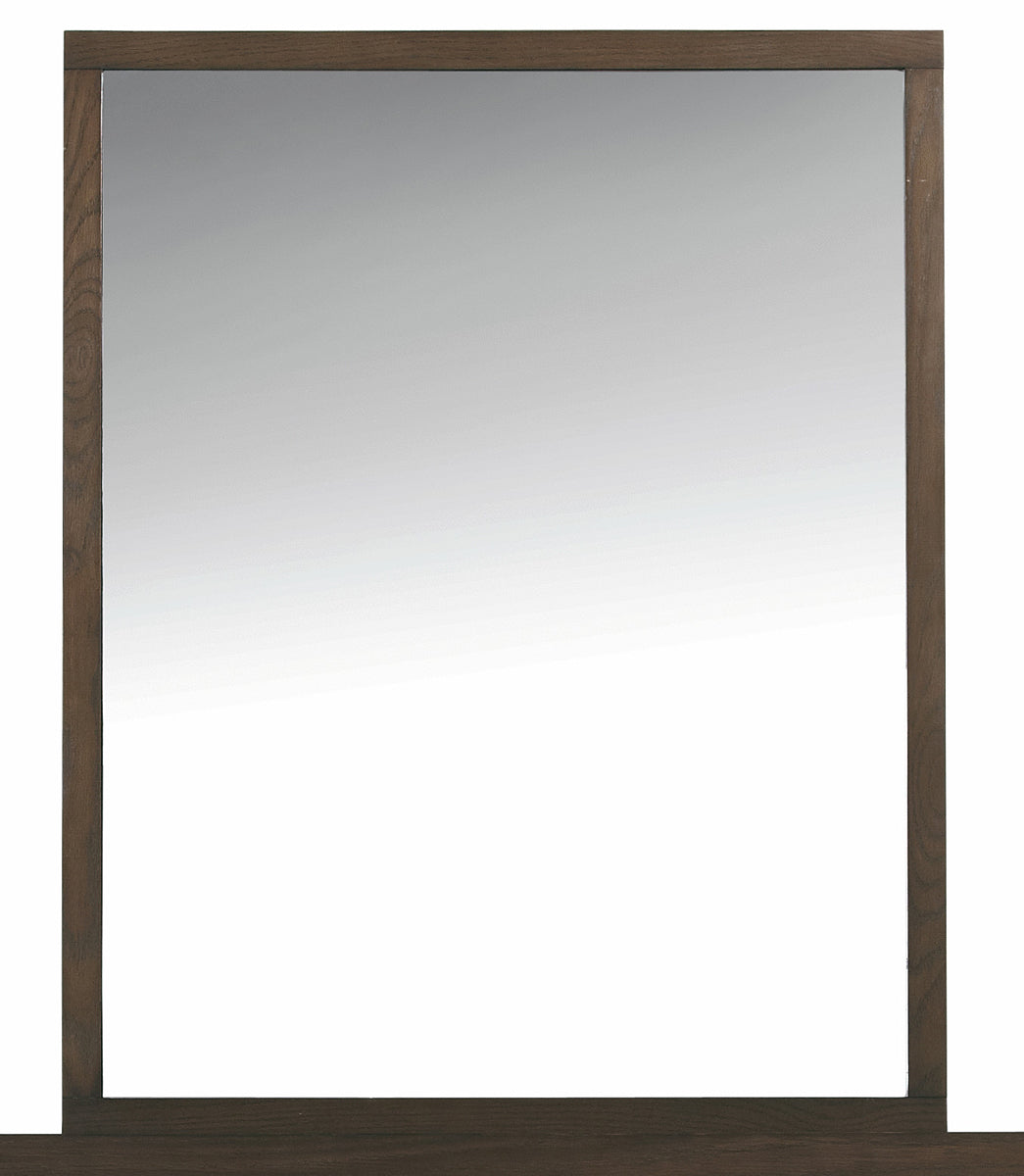Palliser (Casana) Furniture Montreal (Hudson) Portrait Mirror in Deep Licorice 525-401 image