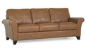Palliser Furniture Rosebank Leather Sofa 77429-01 image